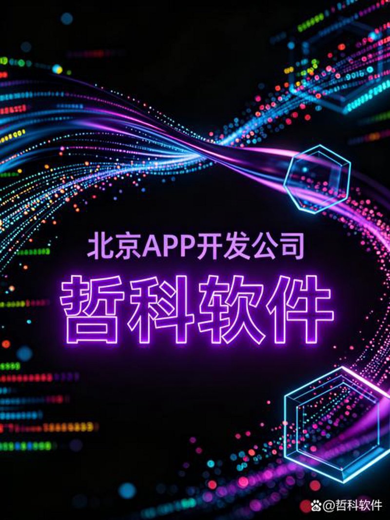 吉林软件开发：技术与创新的双面镜像